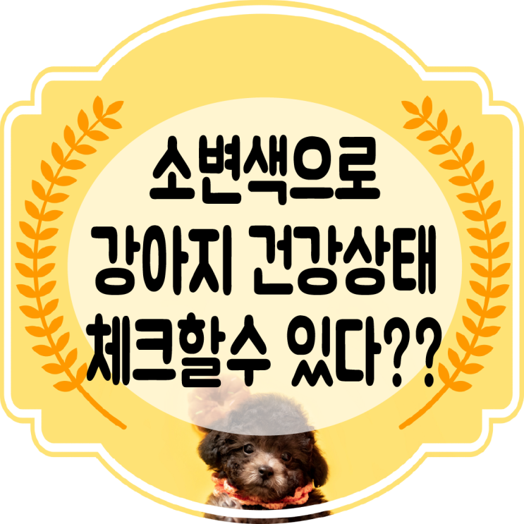  강아지 오줌색 , 소변색으로 건강을 알 수 있다??
