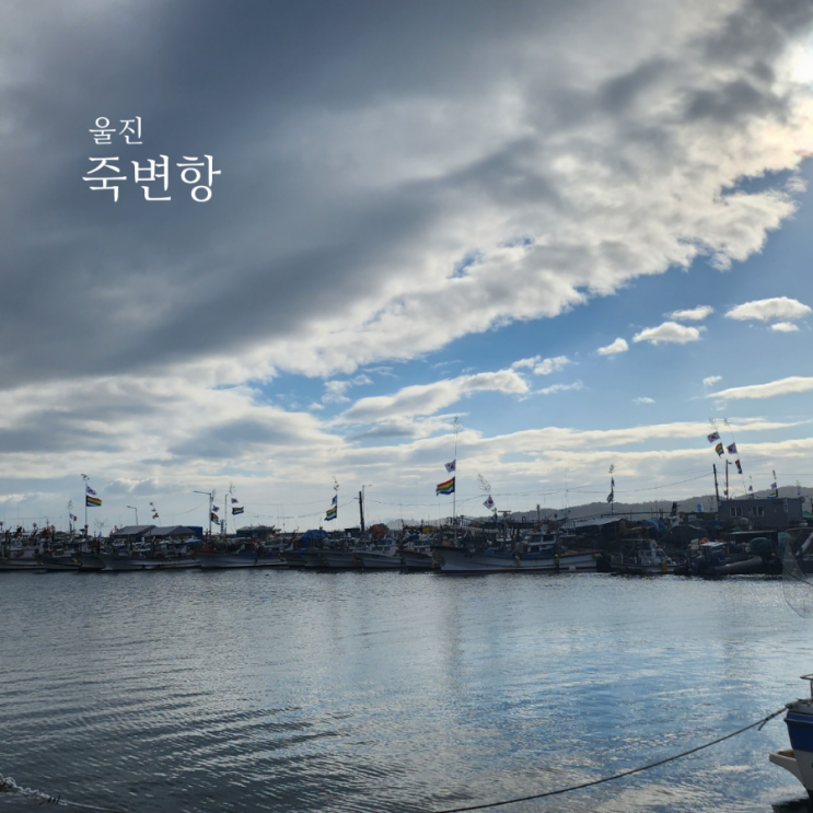  울진 죽변항/활어회센타/2022 죽변항 수산물축제