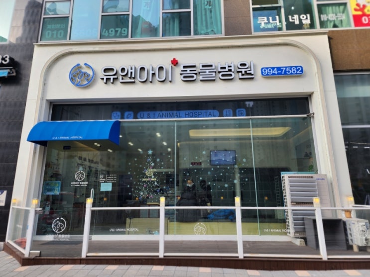  하남 미사동물병원 유앤아이동물병원 강아지건강검진 후기