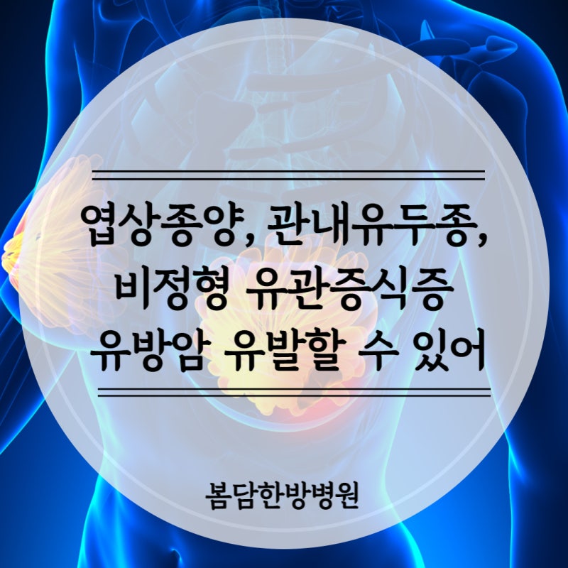 유방암을 유발할 수 있는 유방 질환(엽상종양, 비정형 관 증식증, 관내 유두종)을 확인합니다.