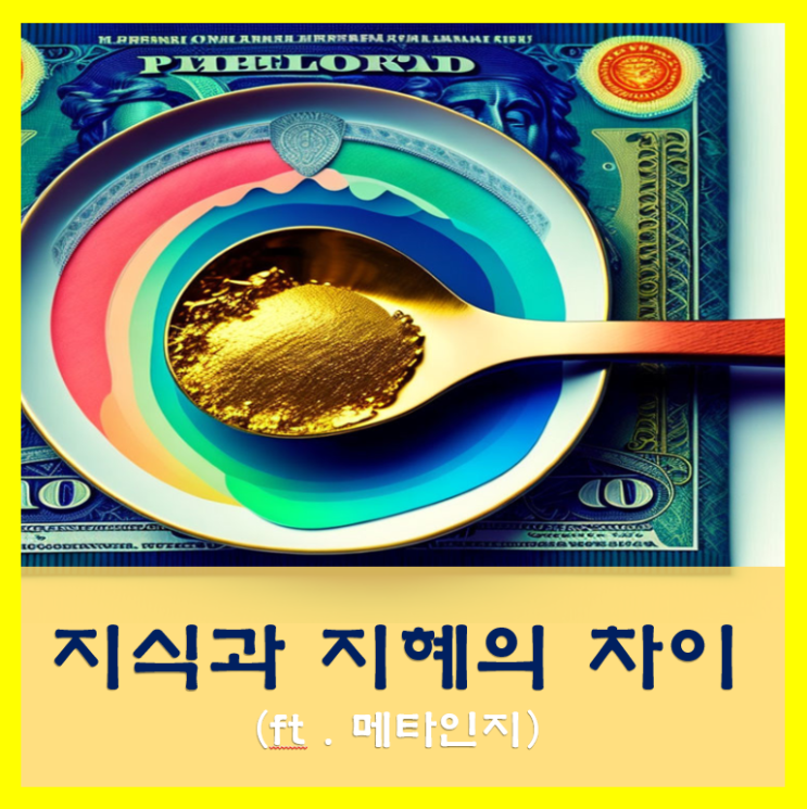 지식과 지혜의 차이, ft. 메타인지 활성화