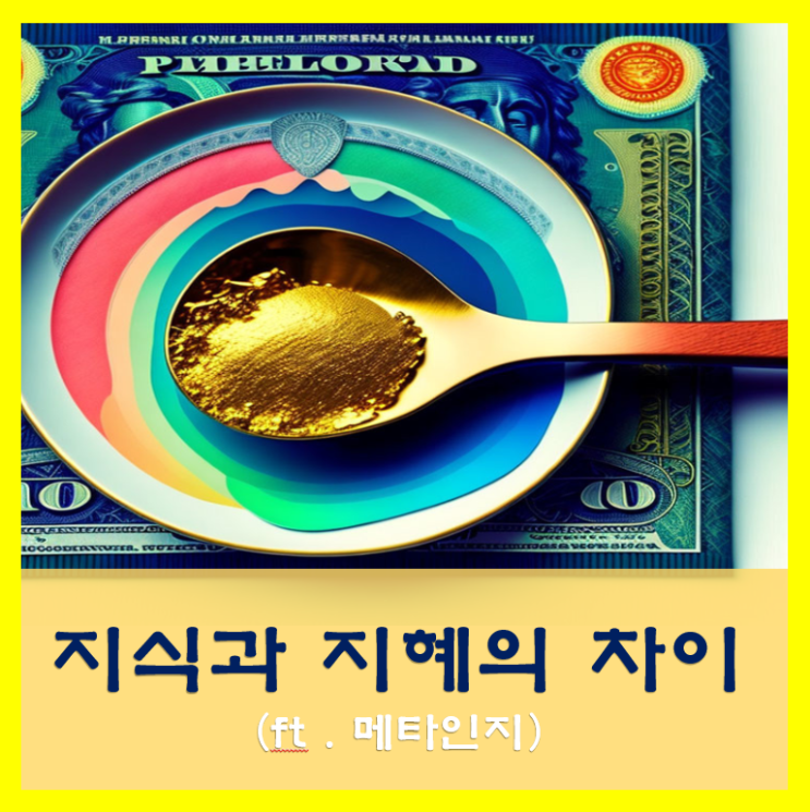  지식과 지혜의 차이, ft. 메타인지 활성화