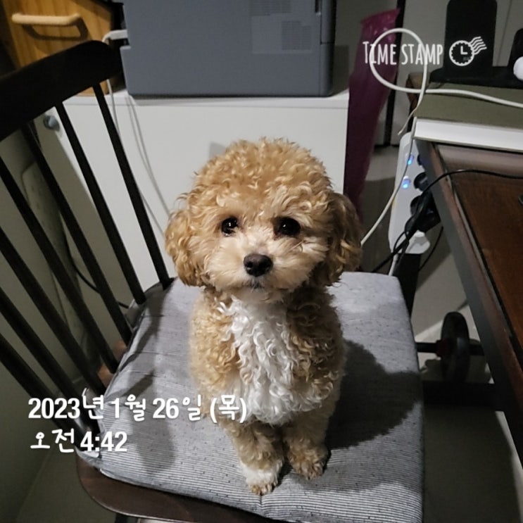  1월26일 미라클 모닝