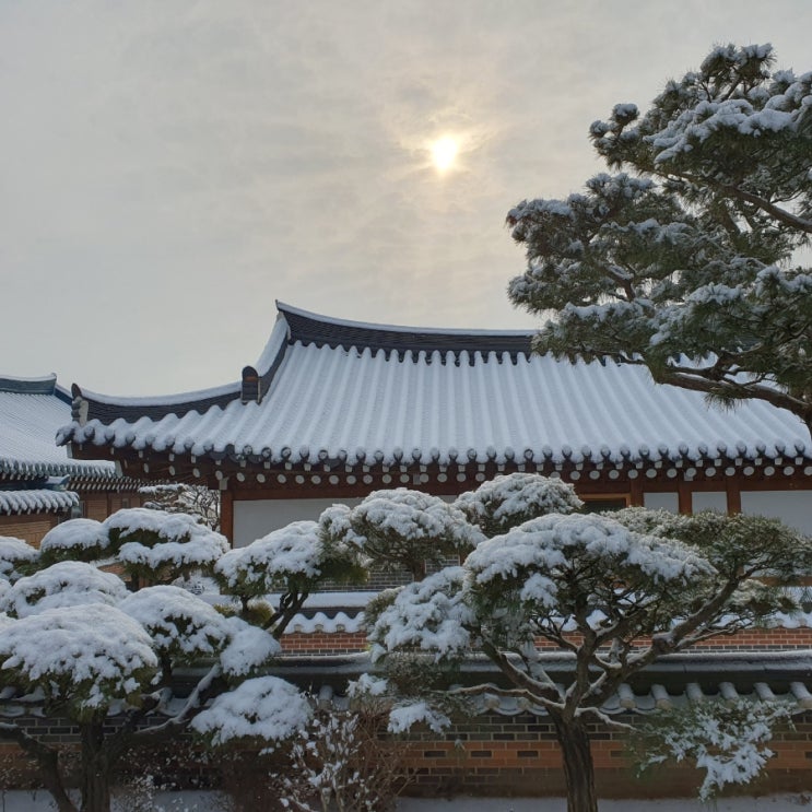  강화 갤러리 도솔 카페 예쁘게 눈 왔어요