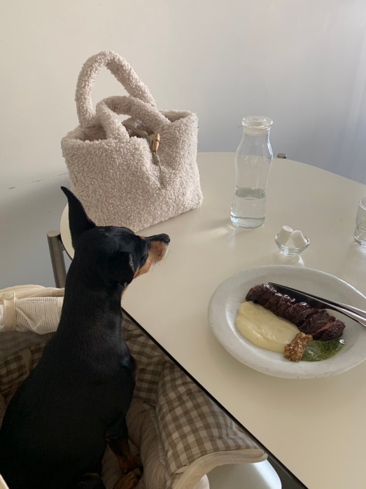  [럭키랑 일산] 일산 애견동반 스테이크 맛집 - 파스하우스