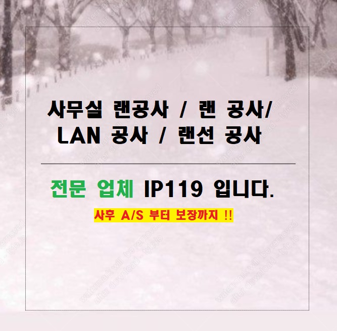  "고객만족 + 높은 기술력" 사후 A/S 보장까지 책임지는 사무실 랜 공사 전문 업체  IP119