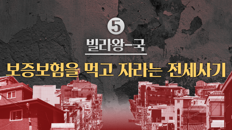 전세사기는 보증보험을 먹고 자랐다 전세사기는 보증보험을 먹고 자랐다