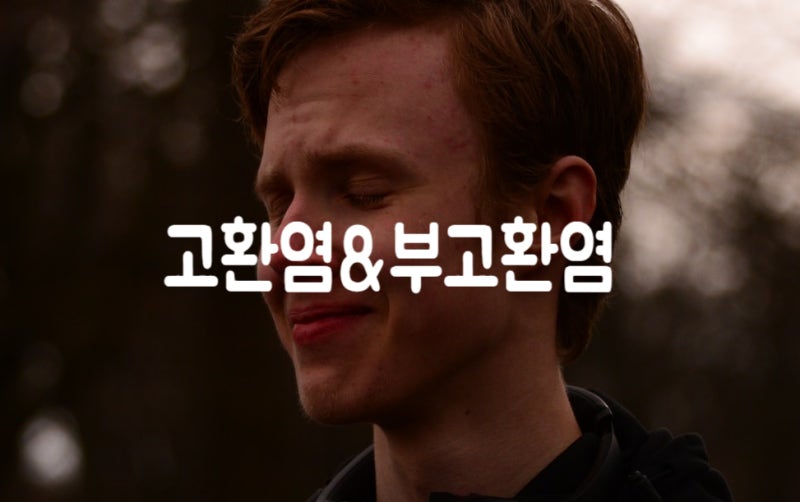 고환염 부고환염 원인과 증상 치료방법 합병증 알아보기