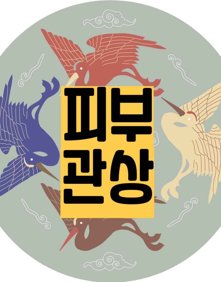  피부로 보는 관상학②