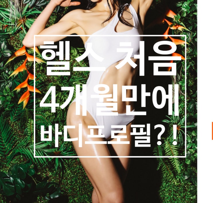  [탄현 헬스장][탄현동 헬스장][탄현 pt] 헬스 처음 4개월만에 바디프로필?!?! (A.K.A 바디프로필 후기)