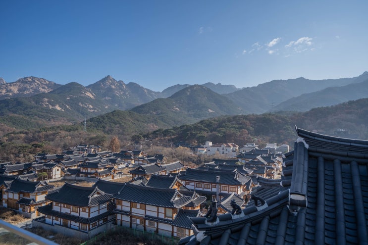 워킹홀리데이 정보 워킹홀리데이 정보