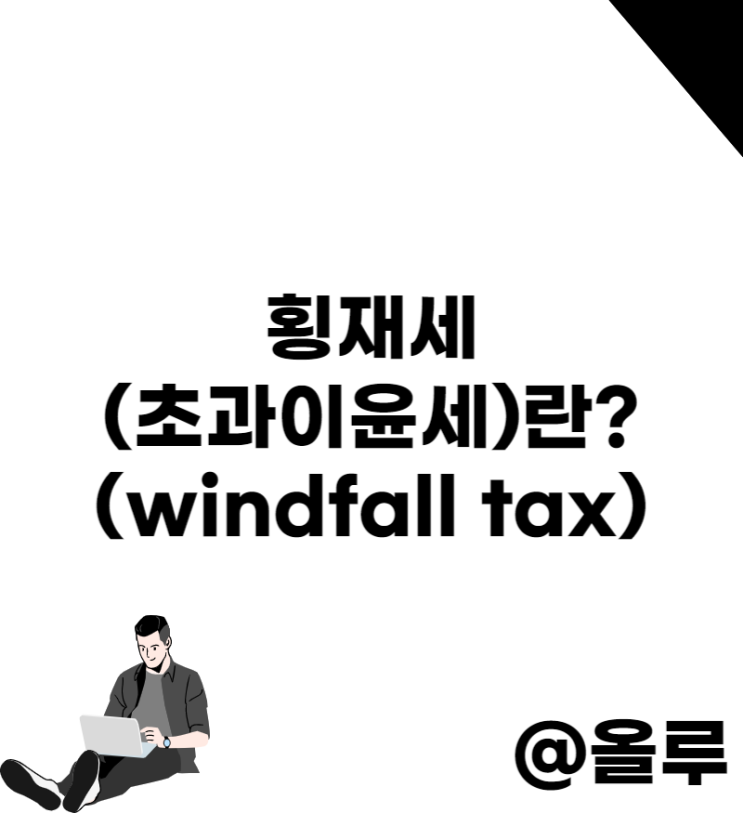  횡재세(초과이윤세)란?(windfall tax)