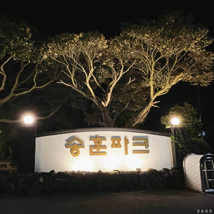  송훈파크 : 크라운돼지 제주빵집 (제주똥돼지)