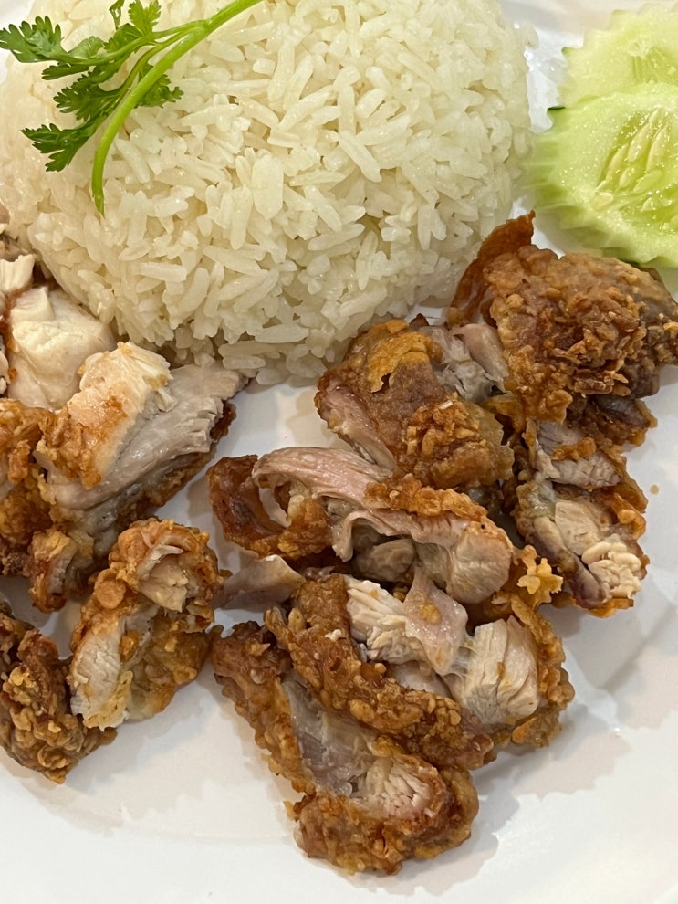  치앙마이맛집 님만해민 코이치킨라이스 Koyi Chicken Rice