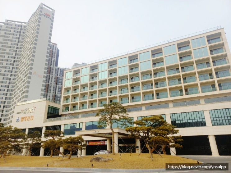 밀양온천 호텔 아리나 몸 제대로 지지고 왔지요 밀양온천 호텔 아리나 몸 제대로 지지고 왔지요