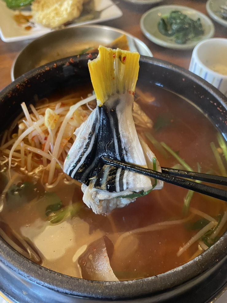  부산 여행 : 롯데프리미엄아울렛, 금수복국, 이케아, 민락어민활어회센터, 갈맷길돼지국밥, 스콘팩토리