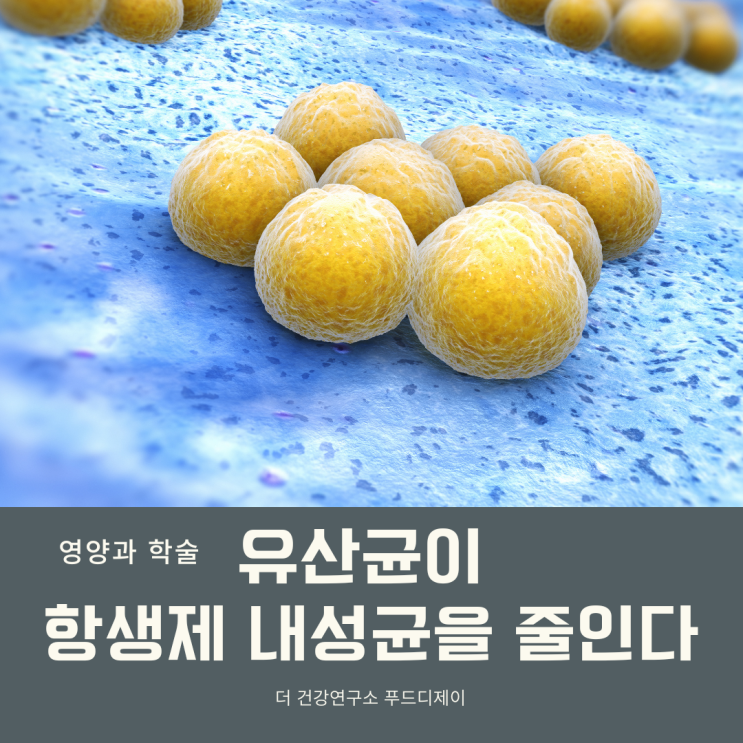  프로바이오틱스(고초균)이 항생제 내성균을 줄인다고?