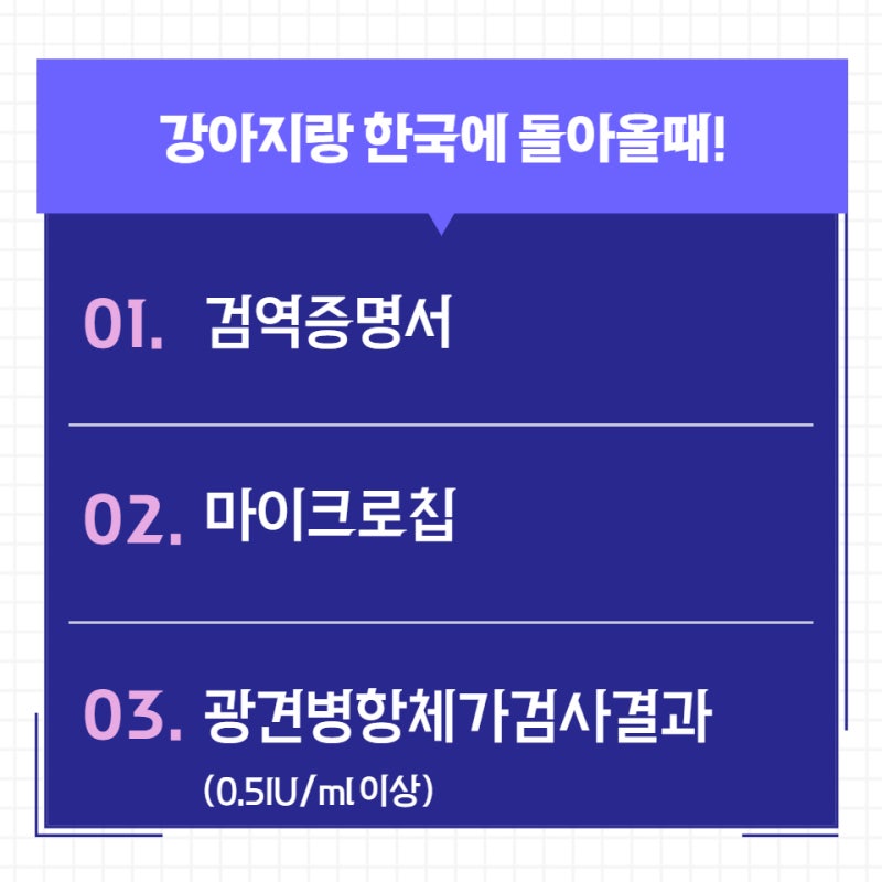 강아지랑해외가기 강아지광견병항체가검사 강아지검역 역삼동동물병원 삼성동동물병원