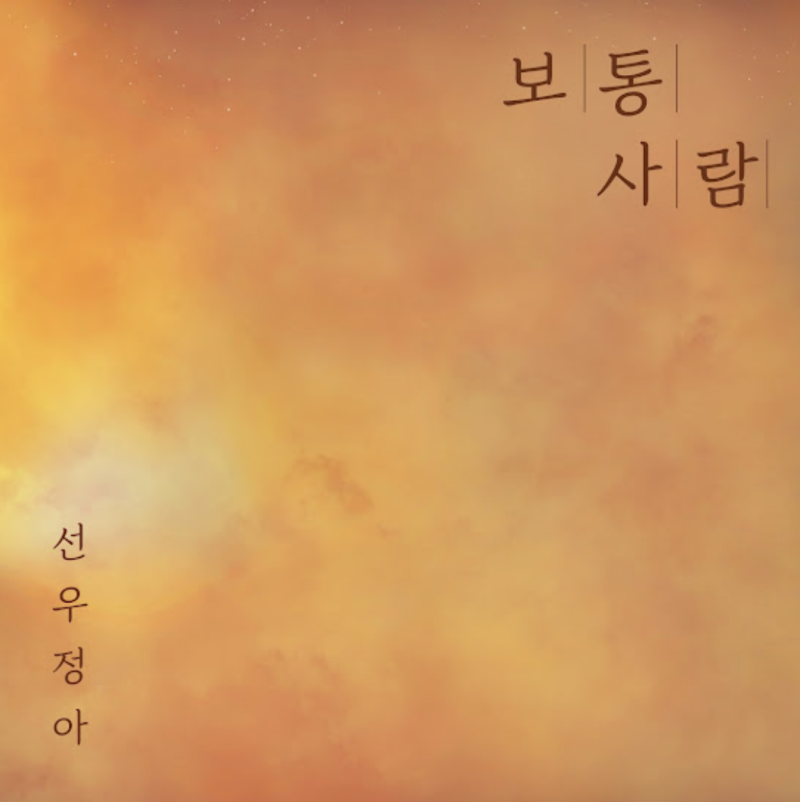 혼자 조용히 견디는 밤, 선우정아 - 보통 사람(가사/크레딧/분석)