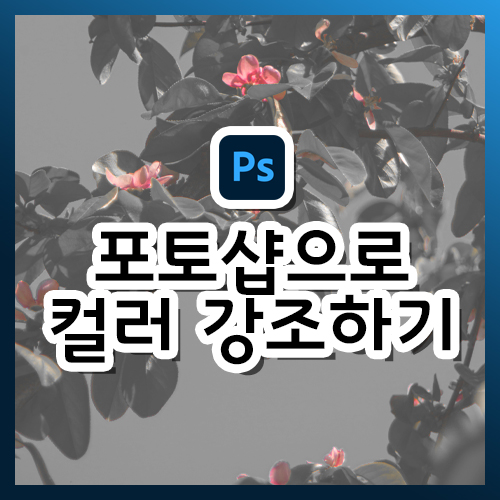  [포토샵 강의] 특정 컬러 강조하기