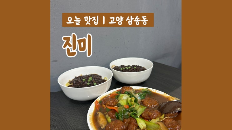 삼송짜장면 진미 짜장면과 난자완스 엄지척 삼송짜장면 진미 짜장면과 난자완스 엄지척