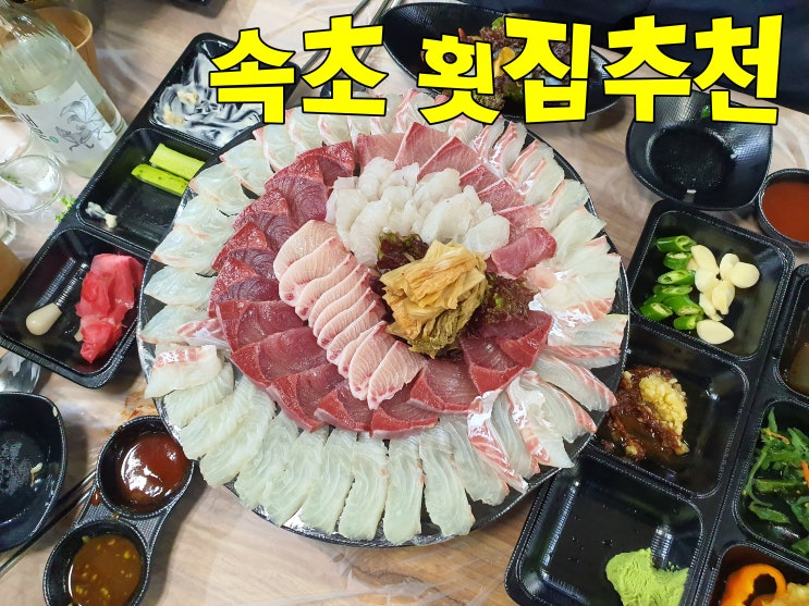  속초 중앙시장 횟집 추천 참돔, 복어, 방어, 오징어회, 배 터지게 먹은 날 4탄