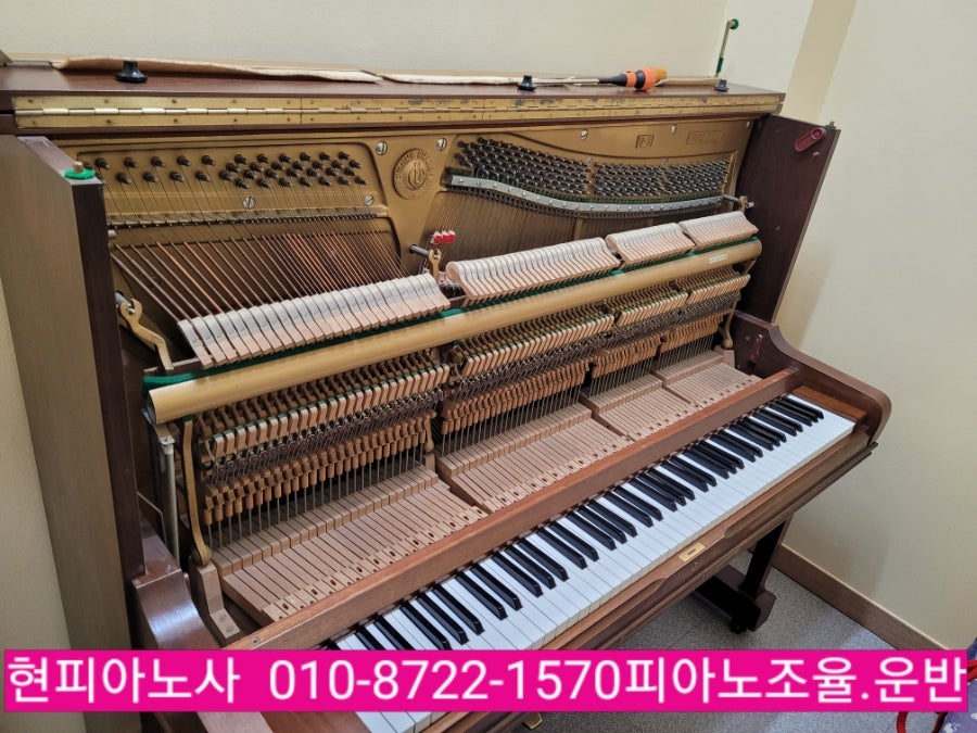 뮤직슐레 사진 1