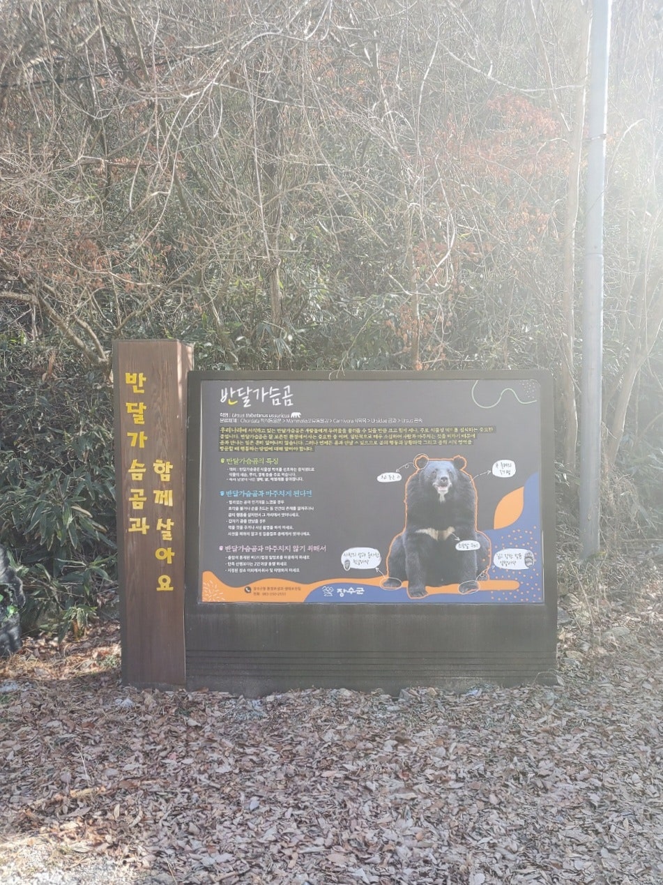 무드리산장 사진 2