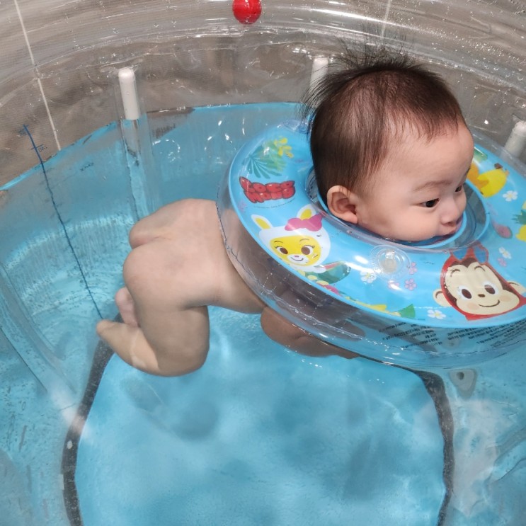 아이블린 아기 수영장 제품으로 집에서도 즐기는 베이비 스위밍 후기