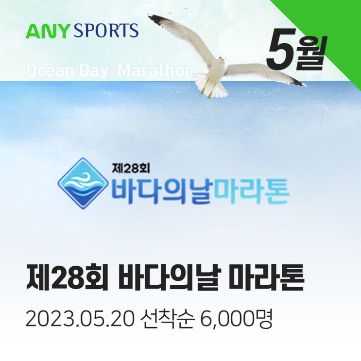  여의도 바다의날마라톤