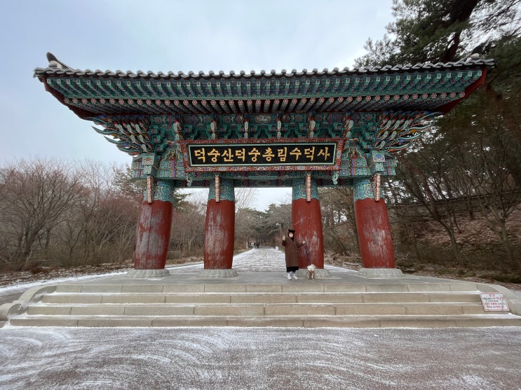  애견동반 사찰  백종원의 고향 예산 수덕사에 놀러갓어요