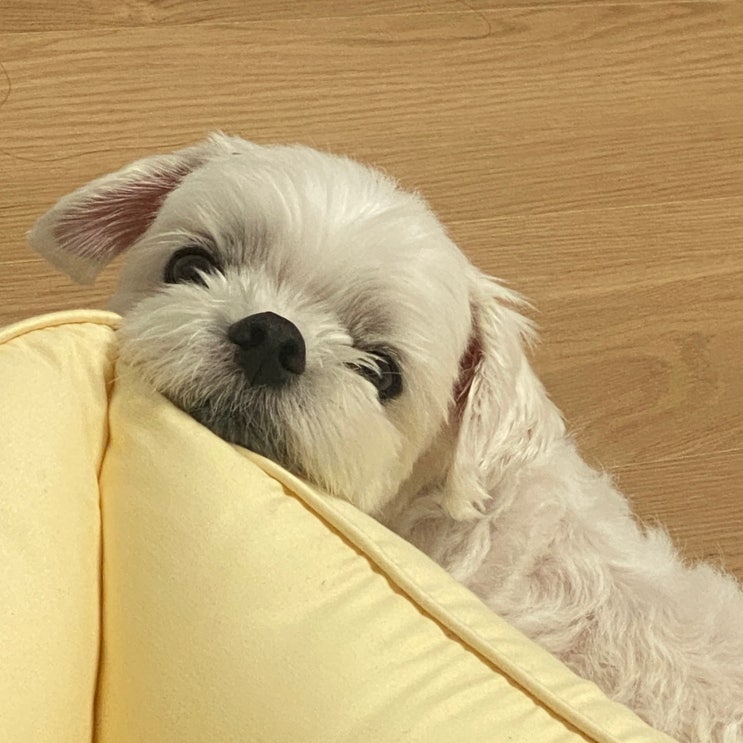  걍 혼잣말임