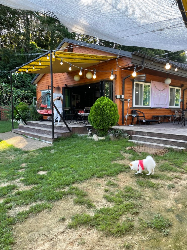 경주 투개더 야외운동장이 있는 애견동반 식당