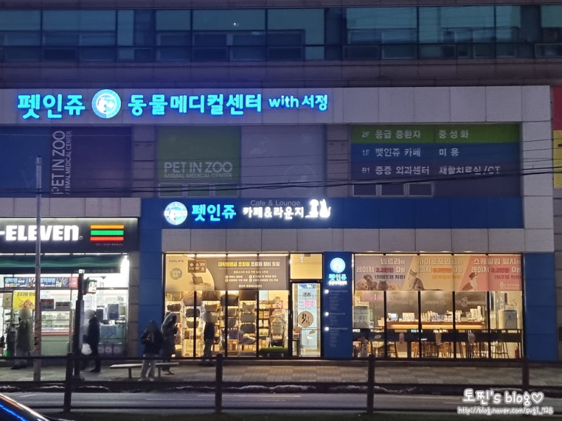 사진 6