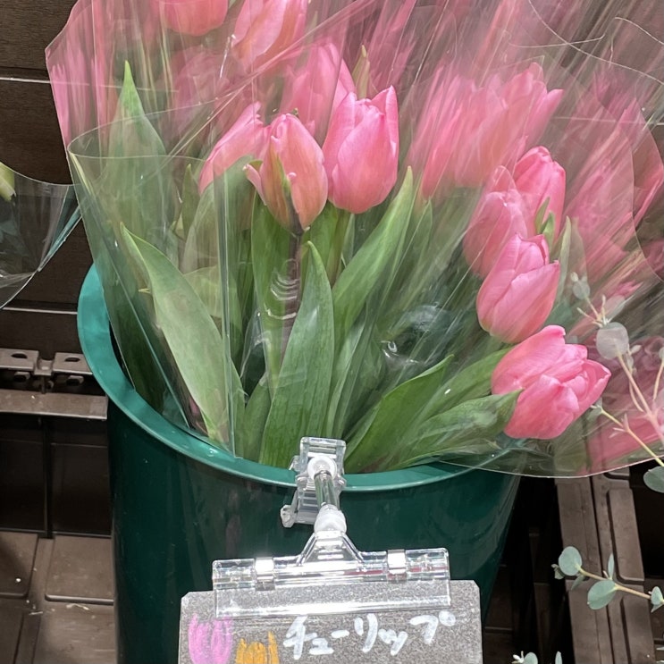  일본 생활 l 오늘은 난바데이