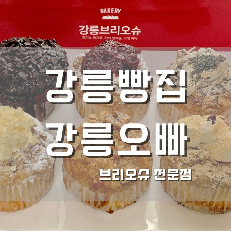  강릉빵집 브리오슈전문점 강릉오빠 나 브리오슈 좋아했네? 빵순이의 빵킷리스트 정복기
