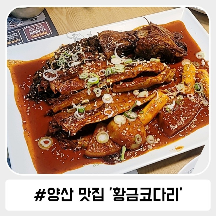 막걸리 무한 리필 양산 코다리 맛집 황금코다리 남양산역점!
