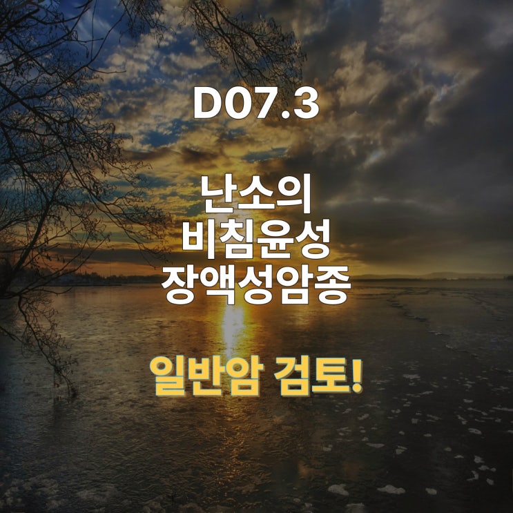  D07.3 난소의 비침윤성 장액성 암종, 저등급 일반암 진단비 보상 가능성은?