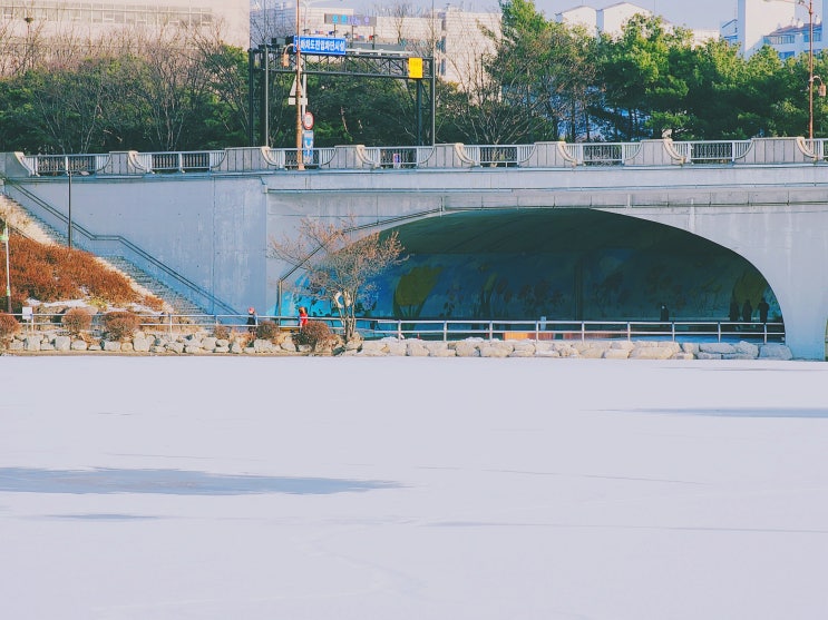 꽁꽁 얼어버린 일산 호수공원 겨울 산책