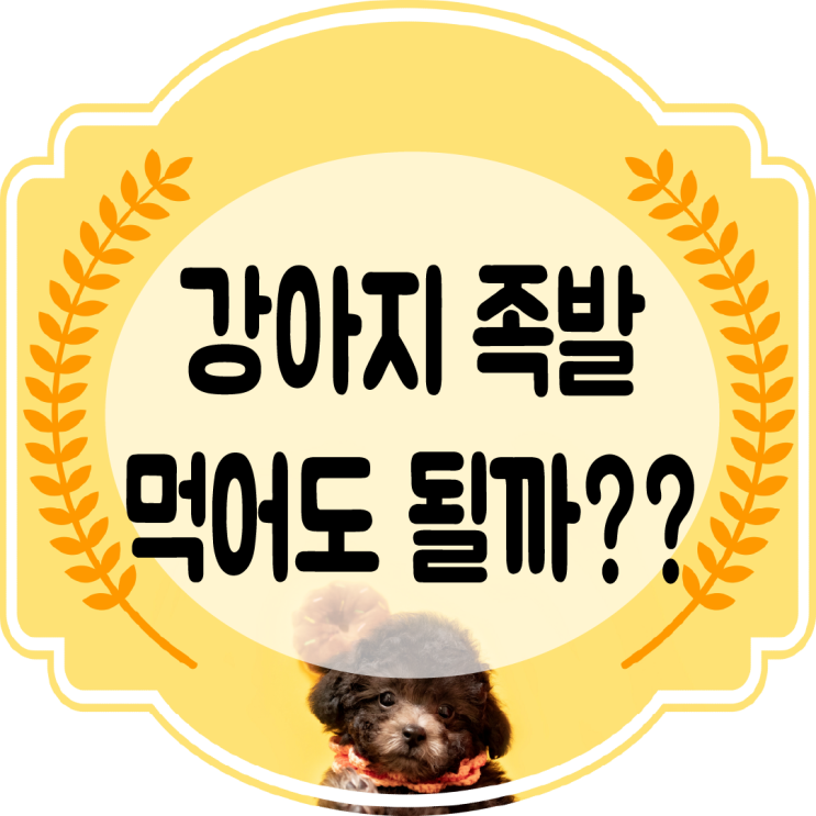  강아지 족발 , 족발뼈 먹어도 되는 걸까??