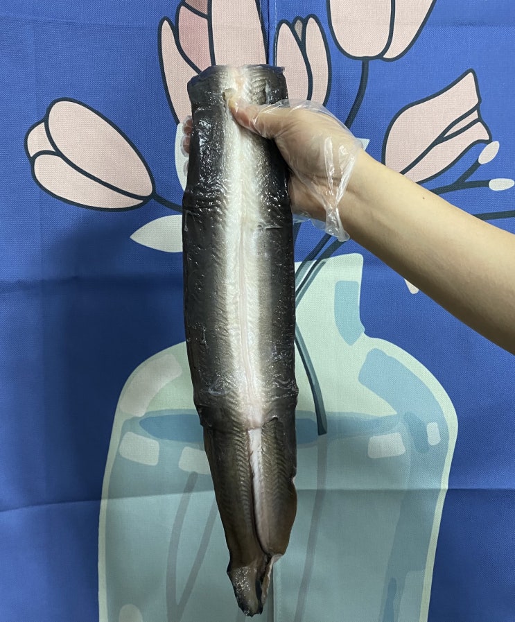  푸드템) 장어파파: '정호영 셰프 납품' 장어파파 민물장어 내돈내산 먹어본 후기