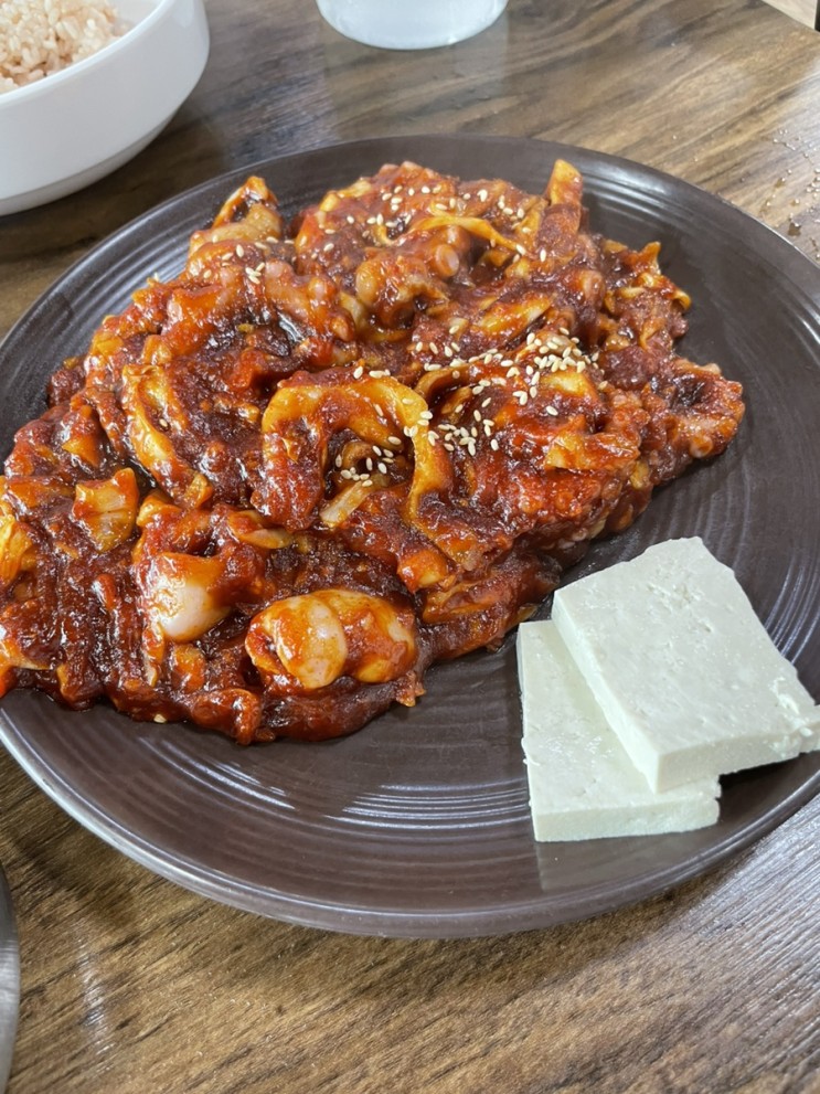 수원 맛집 낙지볶음 가성비 낙지덮밥  : 초가집
