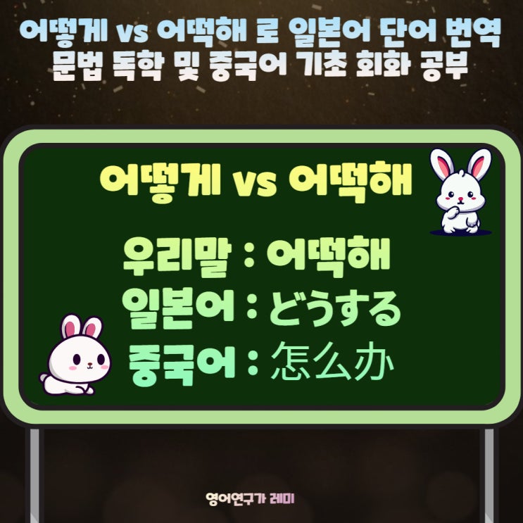 어떻게 vs 어떡해 로 일본어 단어 번역 문법 독학 및 중국어 기초 회화 공부 どうする, 怎么办