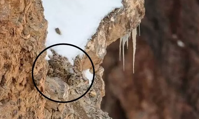  우리의 감정은 나쁜 것일까?