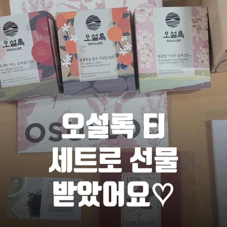  오설록선물 머그컵까지 세트로 감동한바가지고마워여ㅠㅠ
