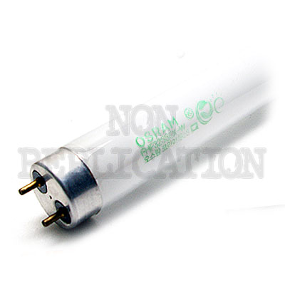 오스람 FLR FHF 32SSEX 32W :: 박스판매30개 OSRAM