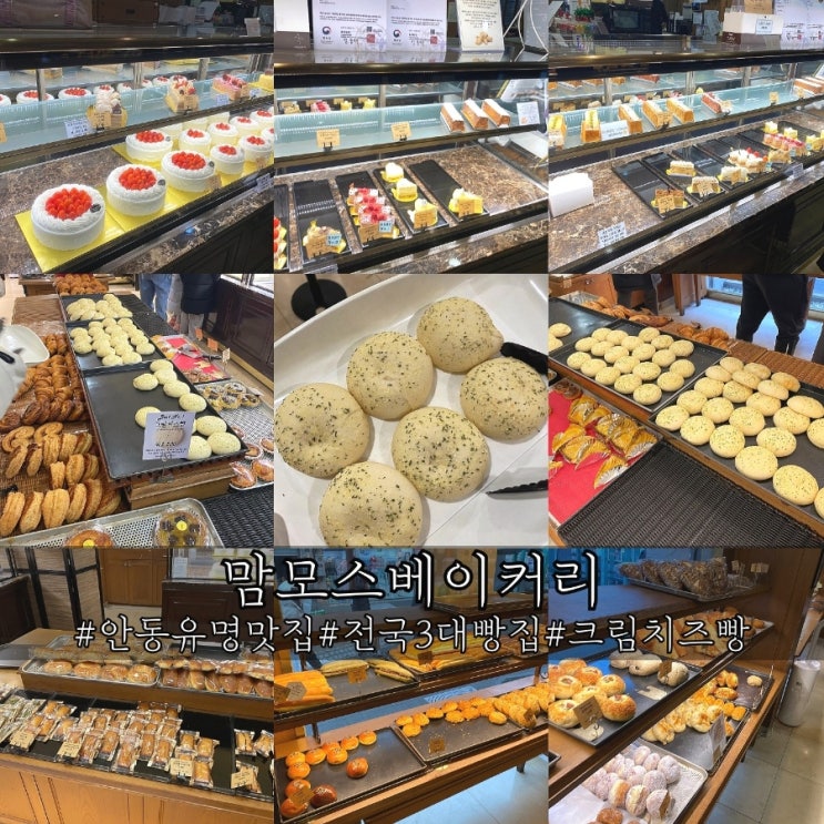  안동맛집 유명한 전국3대빵집 맘모스베이커리와 하비에르 후기!