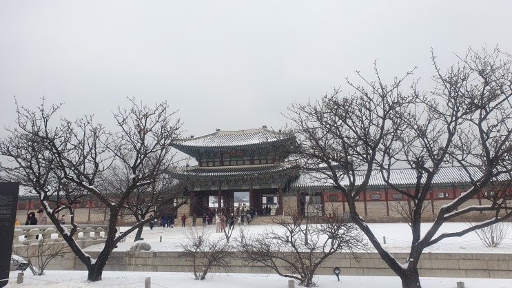  [여행] 눈 오늘날, 경복궁 탐방!