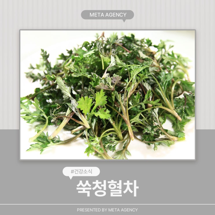  쑥청혈차 효능 만드는 법과 주의사항