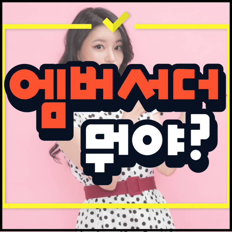 엠버서더 뜻 뉴진스 앰버서더 어느 브렌드 일까?